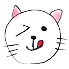 猫スタ