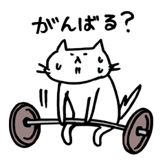 猫のせきねの疑問符