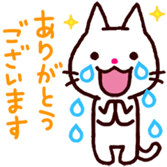 涙ねこ
