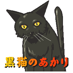 黒猫のあかり