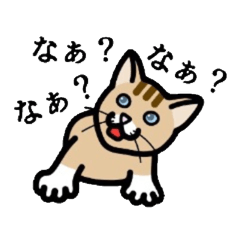 ネコですねん