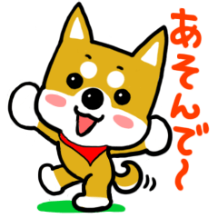 GOGO!柴犬くん