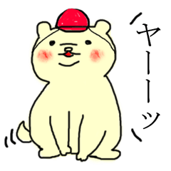 博多犬もちこ