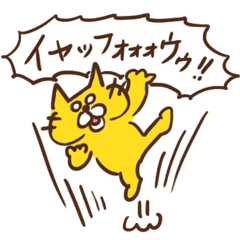 マイペースなねこさん