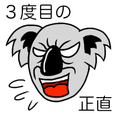 面長コアラ part3