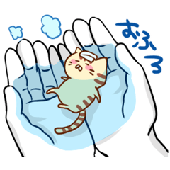 手乗りにゃんこ