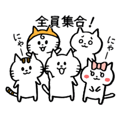 ねこねこ、にゃん太一族。その１