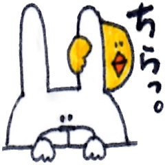 ひよこ時々うさぎ。