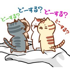 手乗りにゃんこ2
