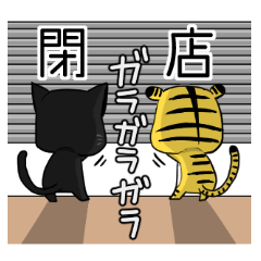 黒ヒョウ時々たいがー