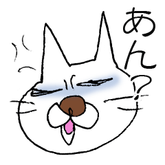 白い猫です