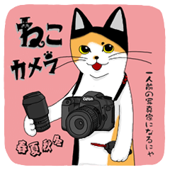 ねこカメラ