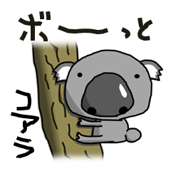 ボーっとしたコアラ