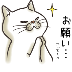 猫面相 1