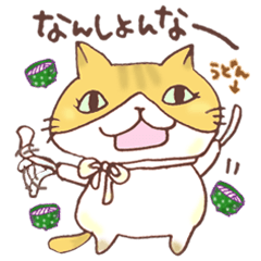 香川の出戻りミイちゃん
