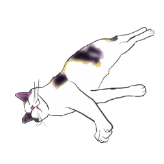 猫！猫！猫！