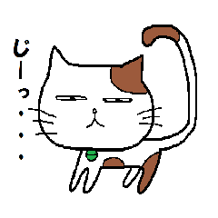 ブチ猫の喜怒哀楽や日常