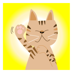 pineapple cat
