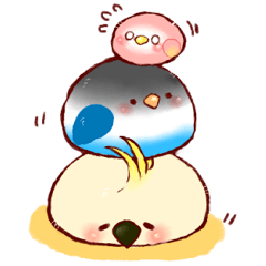 もふもふインコちゃん