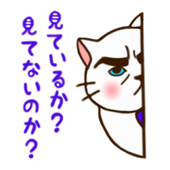 ニャンですか?なんですか?