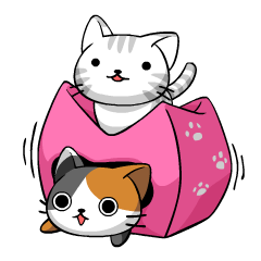 こねこにゃんず