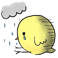 するどいひよこ