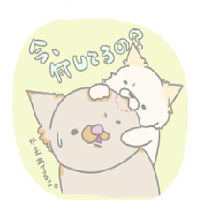 でぶちわ