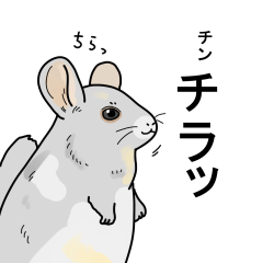 名前で話す動物たち!