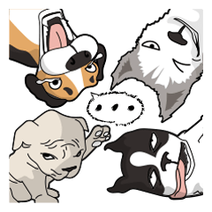 犬が言うこと！