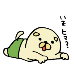 柴犬コロ