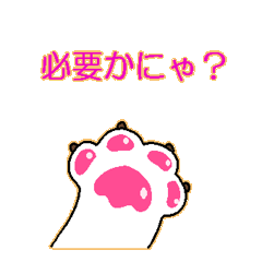 ウチのスコ