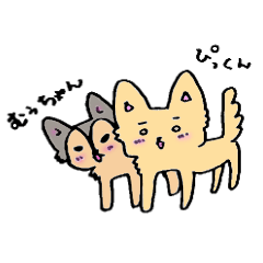 チワワのぴっくんとむぅちゃん