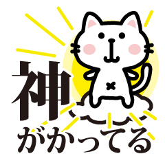 白猫参上! 第二弾 ほめ上手な猫