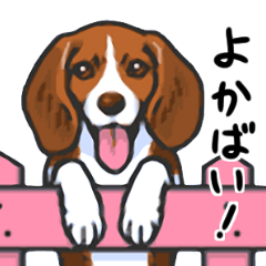 かわいか動物スタンプ(九州編)