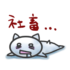 SHACHIKU☆ねこ
