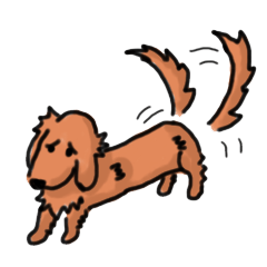 うちのお犬様