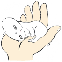 手のひらの猫神様