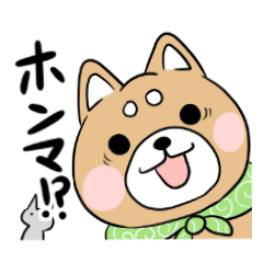関西けん　しばやん＆ミーやん