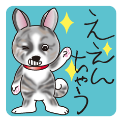 やんちゃいぬ