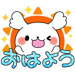 しろ丸の日常