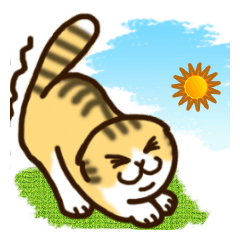 ふるにゅんねこ