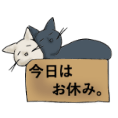 箱ねご