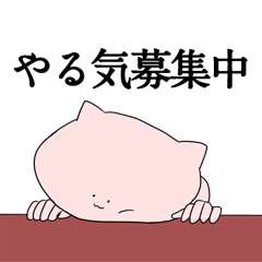 猫の日常ポーズ２
