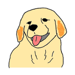ゴールデンレトリバーの生活