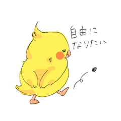 オカメのたまごちゃん