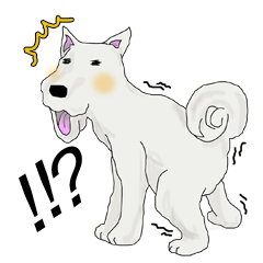 わんこたちの喜怒哀楽