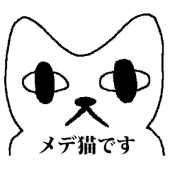 メデ猫