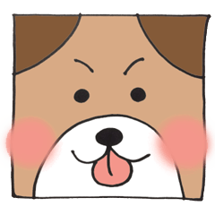 犬のともちゃん