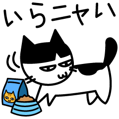 ハチワレにゃんこ日和