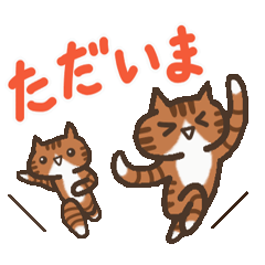 双子ねこがいっぱい